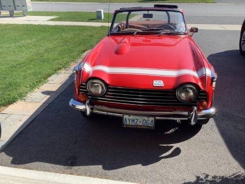 Red Triumph TR250